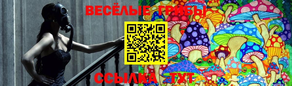 Белая Калитва  Галлюциногенные грибы MAGIC MUSHROOMS  Вход с VPN 